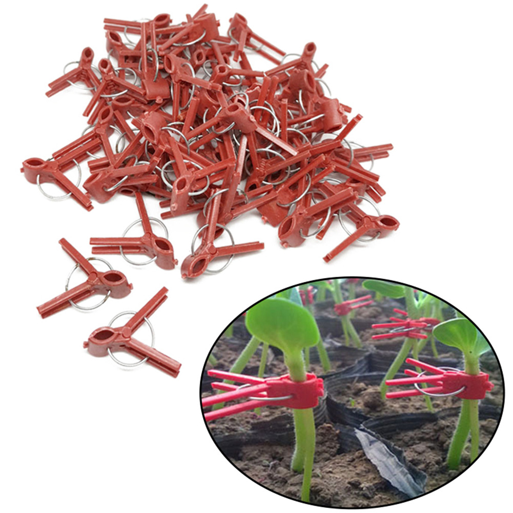 50pc Plastic Plant Support Clips Clamps For Plants Hanging Vine Garden Greenhouse Vegetables Tomatoes Clips Garden Graft Clip