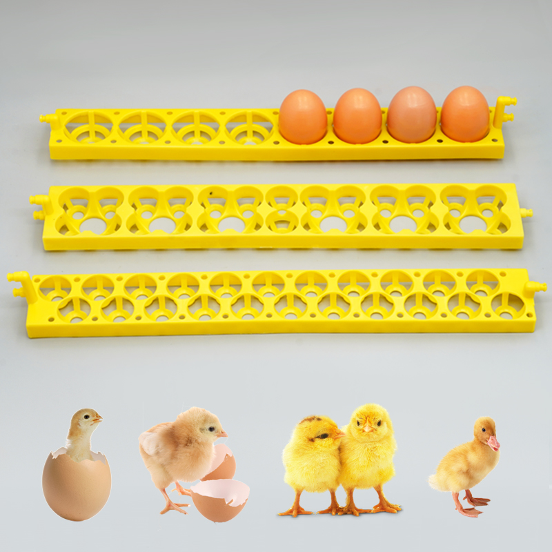 Automatische Ei Incubator Plastic Automatische Incubator Eierbak Kippenei Incubator Houder Voor Gevogelte Kip Eend Gereedschap Onderdelen