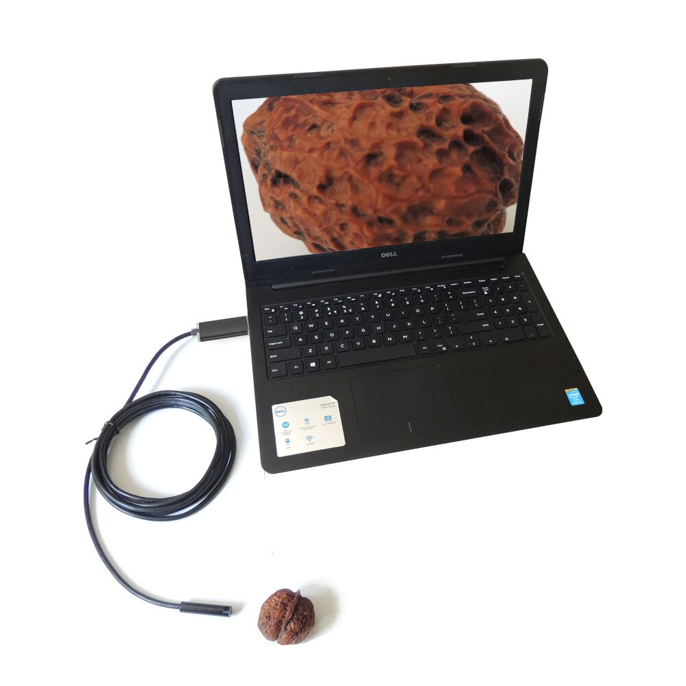 AN99-cámara endoscópica 2 en 1, lente de 8mm, 720P, cable duro suave, impermeable, OTG, Micro boroscopio de inspección USB, para teléfono Android