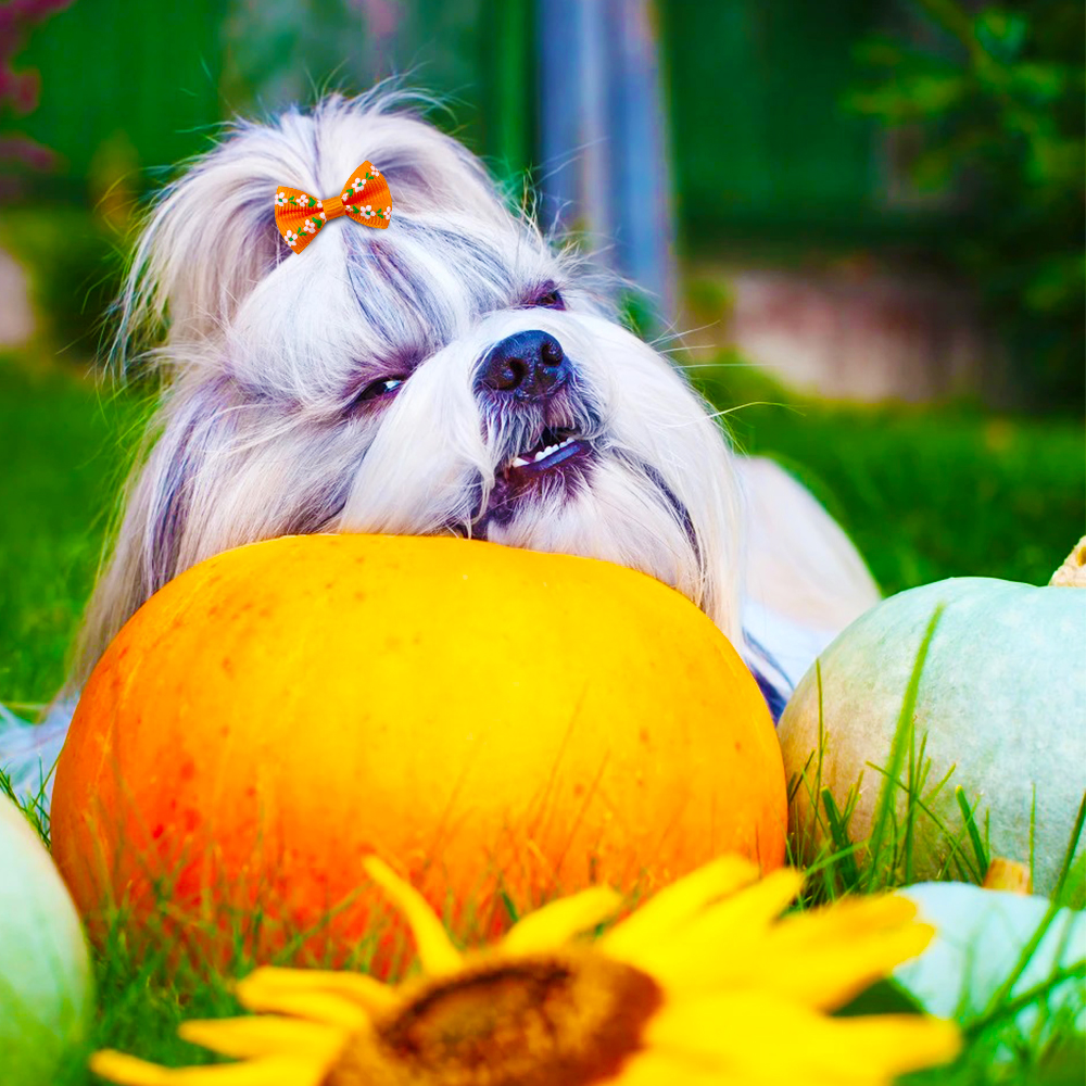 Lazos de pelo naranja para perros pequeños, accesorios para el cabello para el otoño/otoño, productos para mascotas, 50/100 Uds.