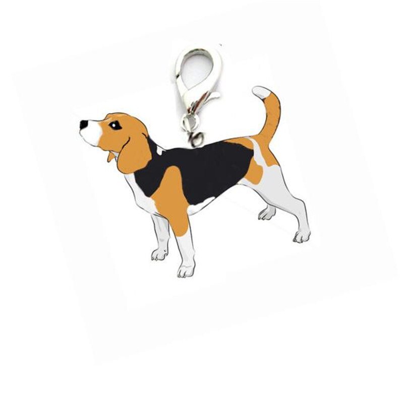 Tailup Ketting Huisdier Kat Tag Halsbanden Emaille Accessoires Hond Id Tag Voor Hond Kraag Huisdieren Acessorios Huisdier leverancier