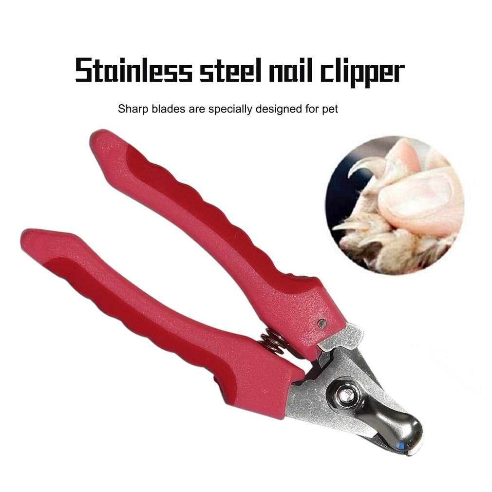 1pcs Pet Nail Clippers Cutter For Animal Dogs Cats Pig Birds Guinea Claws Scissor Cut Product Scissors Brand