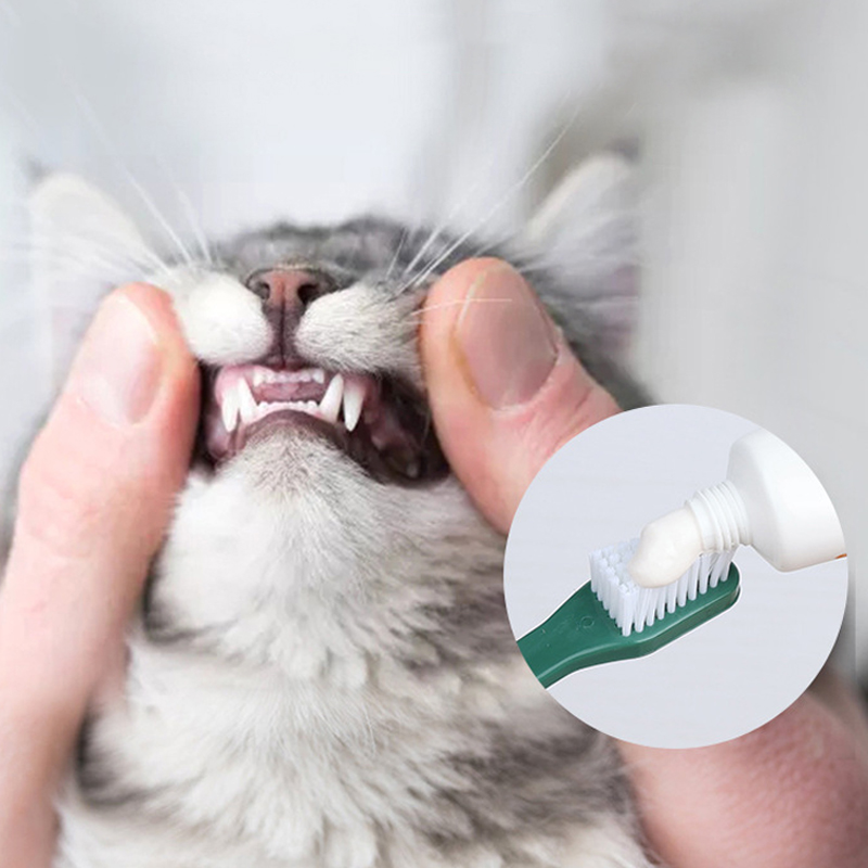 Juego de cepillos de dientes de doble cabeza para mascotas, cepillo de dientes de doble cabezal para limpieza de perros, cepillo de dientes para dedos, suministros prácticos para cepillos de dedo para perros y gatos