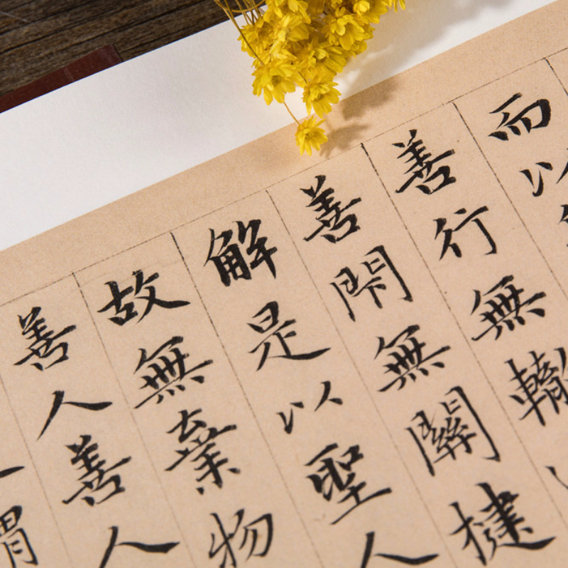 Tao Te Ching Schriften Zhao Mengfu Klein Normaal Script Borstel Kalligrafie Schrift Ouyang Xun Running Script Kalligrafie Boek