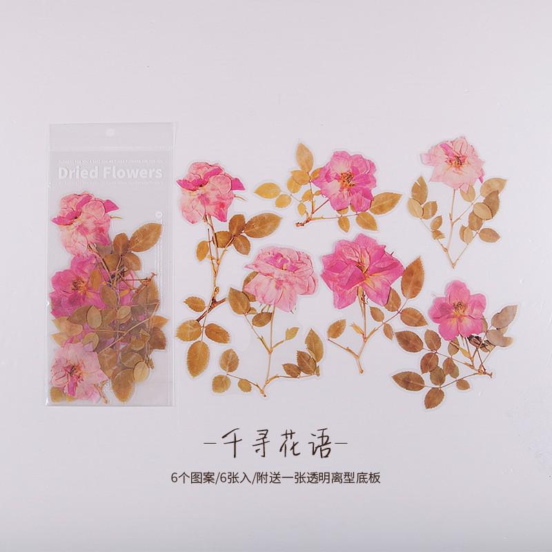 6 Sheets Leaves Flowers Stickers Big Size Deco Stickers For Planner Journal Scrapbooking Diary Diy: E