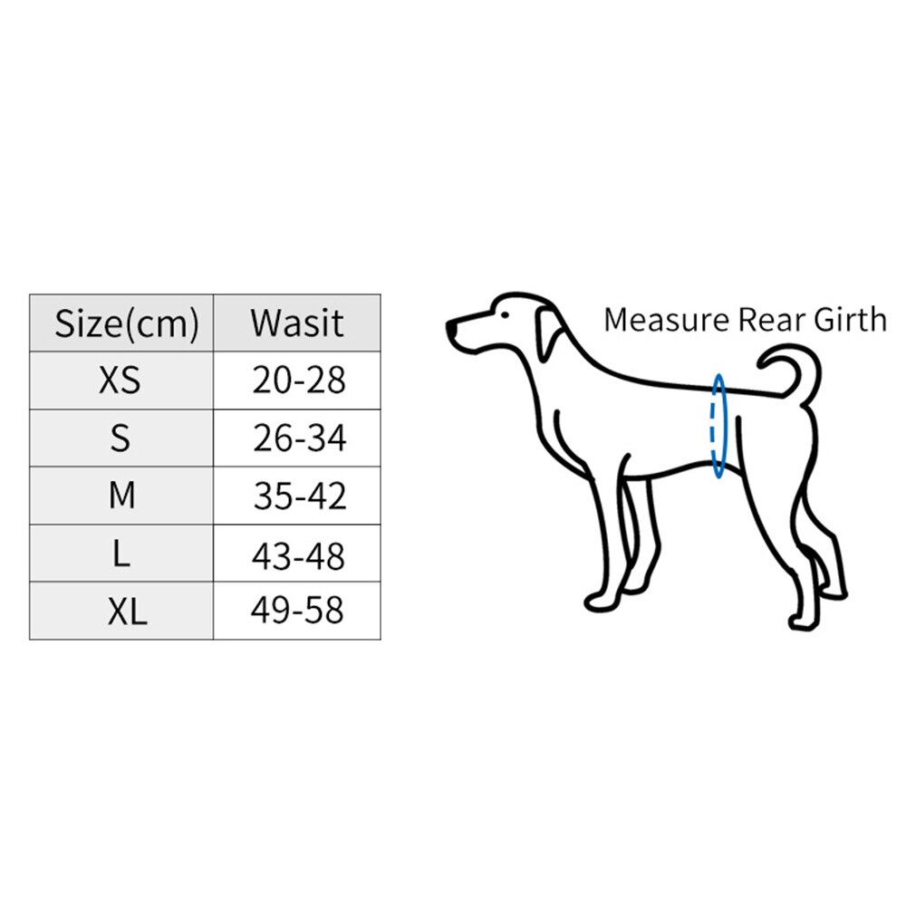 Couche réutilisable pour chien | Bande ventrale en coton, sous-vêtements physiologique, couche enveloppante dessin animé ours éléphant animaux, pantalons sanitaires pour chien masculin