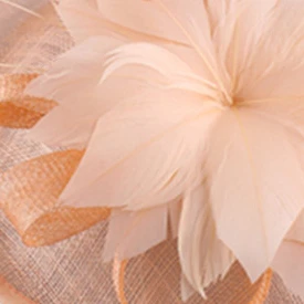 Fascinateurs de cheveux de mariage pour femmes, chapeau de plumes pour femmes, accessoires féminins, pince, vêtements de sauna, bandeau de sauna, cocktail, coiffure d'occasion: Champagne