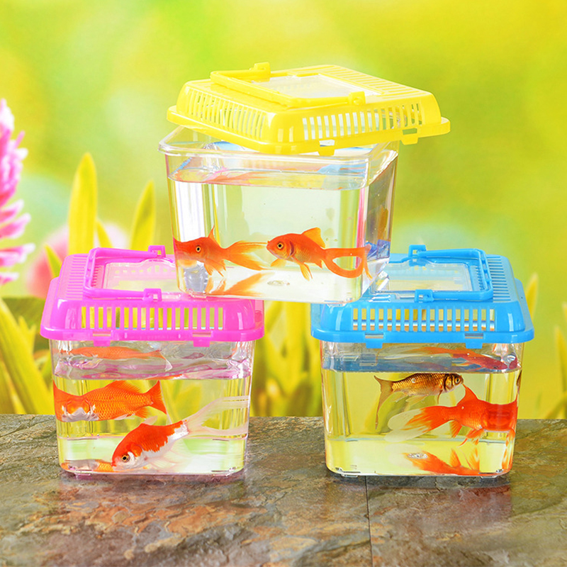 Aquarium Portable 1 pièce, boîte d&#39;élevage de poissons, Mini tortue de poisson rouge, réservoir de petits reptiles, fournitures d&#39;accessoires pour animaux de compagnie