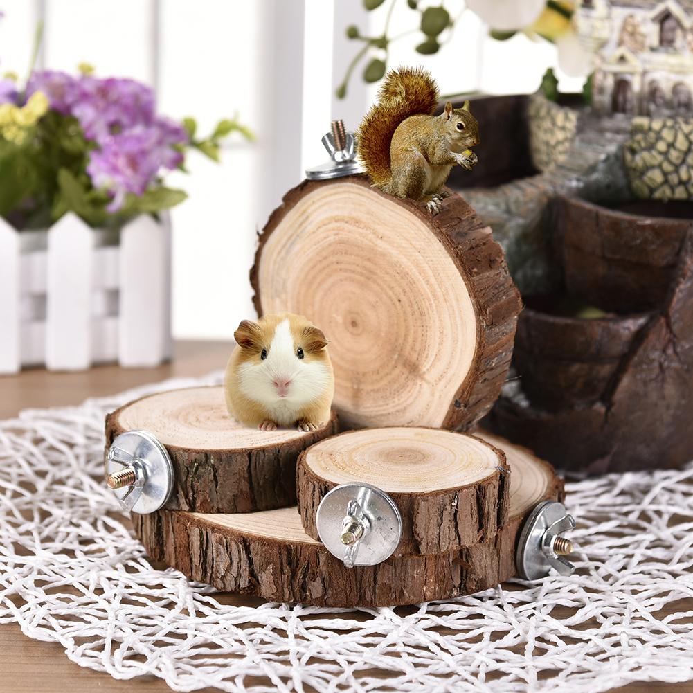 Tabla de troncos de madera Natural para hámster, plataforma de madera para Chinchilla, conejillo de indias, ardilla, Totoro, loro, para saltar, suministros de juguetes para mascotas pequeñas