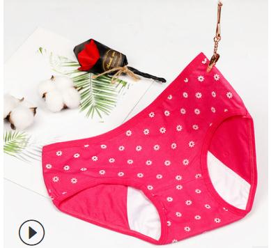 Meisje Menstruele Slipje Fysiologische Slips Bloemen Lingerie Lekvrij Verbreed Vrouwelijke Ondergoed Studenten Waterdicht Slipje: 4