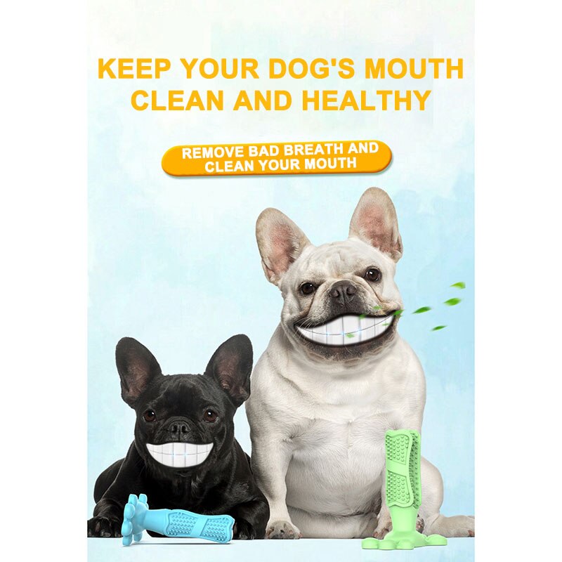 Hund tandborste hund molar stick gummi tandborste bit leksak hund tänder ren husdjur borsta tandvård apparat tugga leksak husdjur leverans