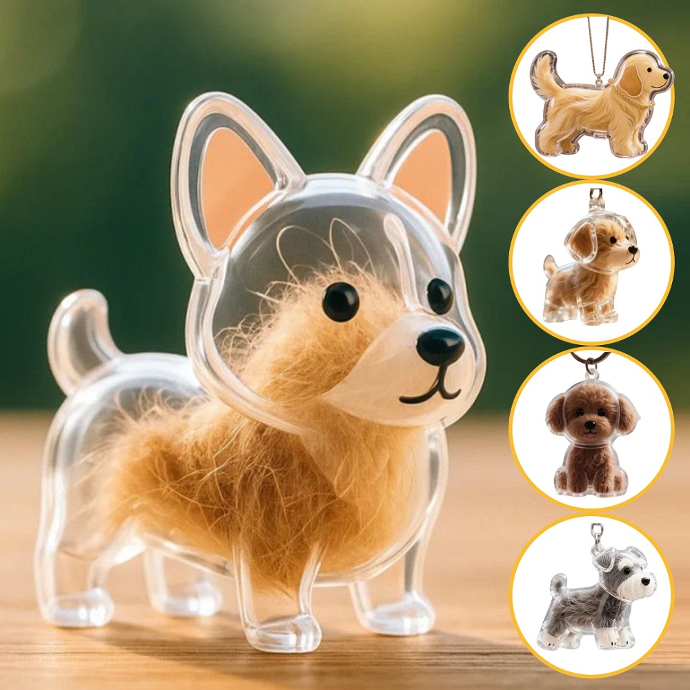 Caja de almacenamiento de pelo de perro, cápsula de recuerdo conmemorativo de pelo de cachorro, contenedor de piel de perro para mascota, llavero de cápsula transparente, recuerdos