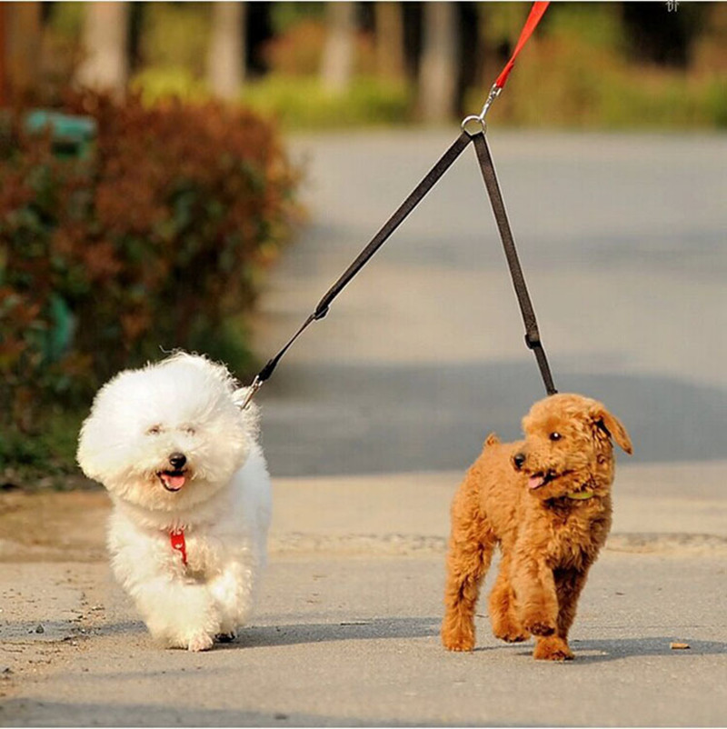 Correas dobles de nailon para pasear perros, correa de 2 vías con Collar para cachorros, correa de plomo de tracción para perros pequeños, accesorios para perros pequeños