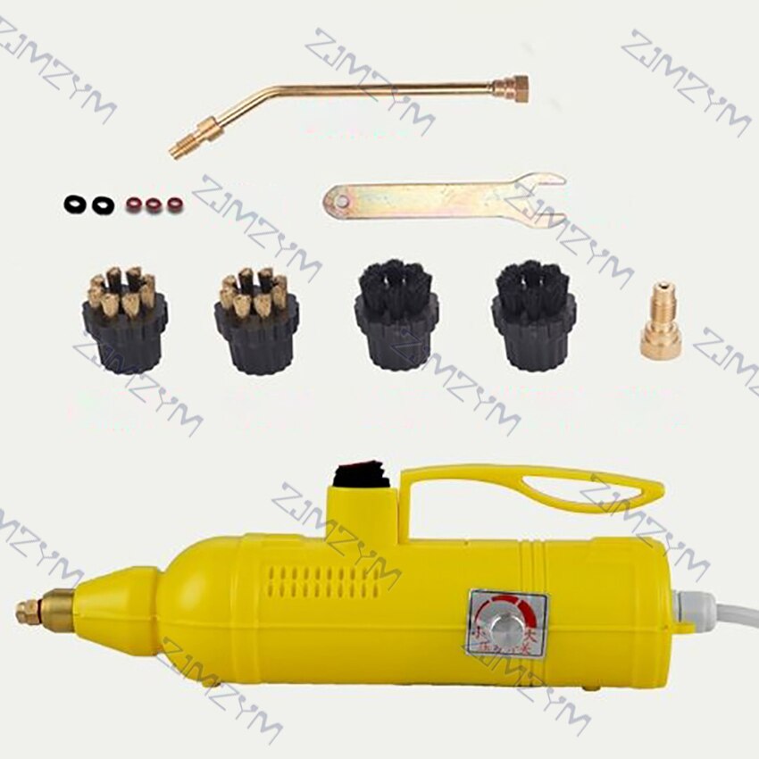 1800W Portable nettoyeur à vapeur 220V haute température électrique nettoyage Machine nettoyeur à vapeur pour climatiseur cuisine outils