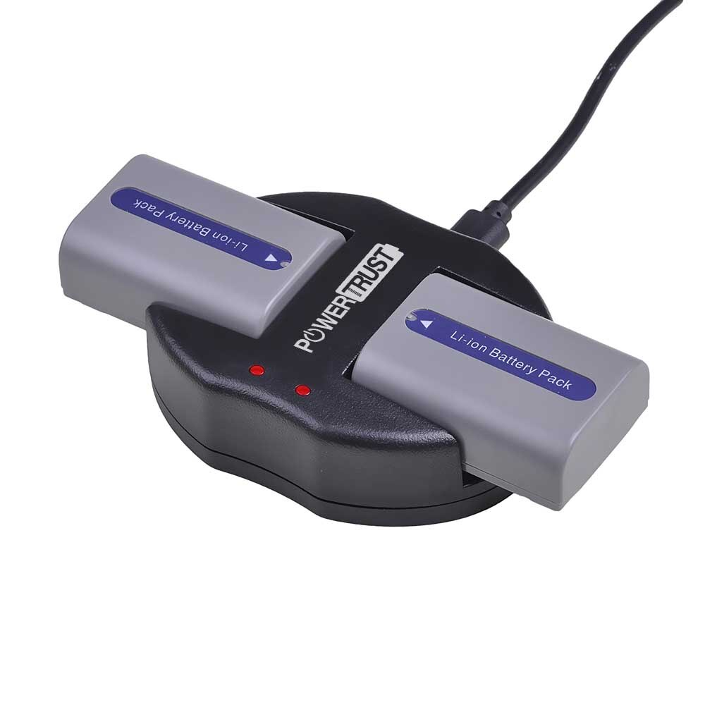 2x NP-FP50 NP-FP51 FP50 Battery and USB Charger for Sony NP-FH30 NP-FH40 NP-FH50 NP-FH60 NP-FH70 NP-FH90 NP-FP30 DCR-HC20 HC30: 2Battery and charger