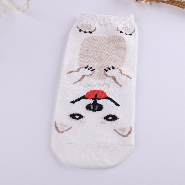 Kvinner dyr ankelsokker venn mopper corgi rottweiler schnauze samojed hund kjæledyr sox til eldre låve eller voksen unisex sokken: Hvit