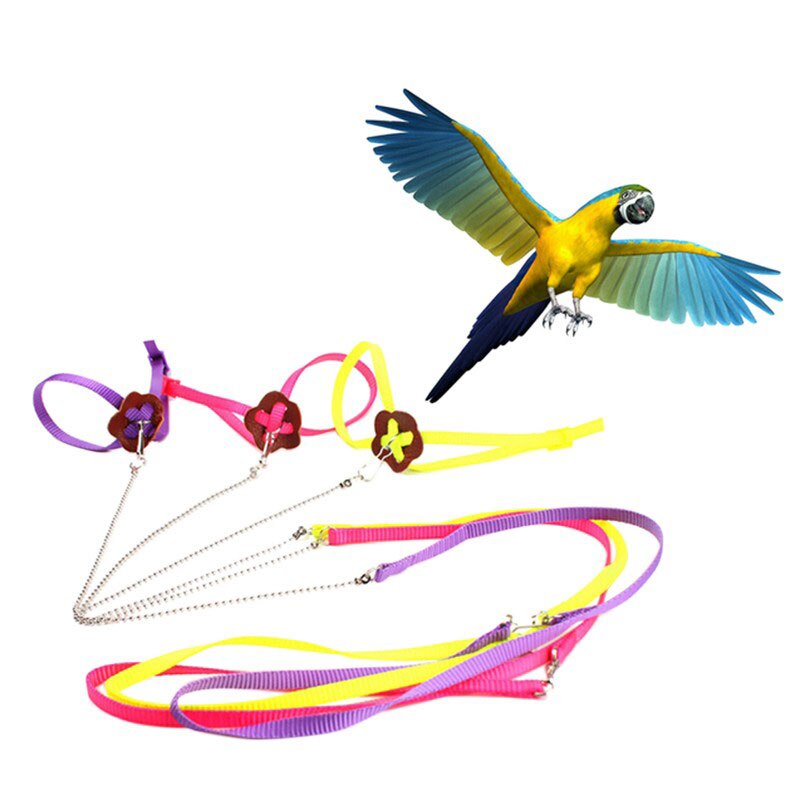 Säädettävä papukaija talutusnuora lemmikki lisko linnut valjaat talutushihna ulkona harjoitusköysi vyö kävelylyijy lintuhihna - väri satunnainen