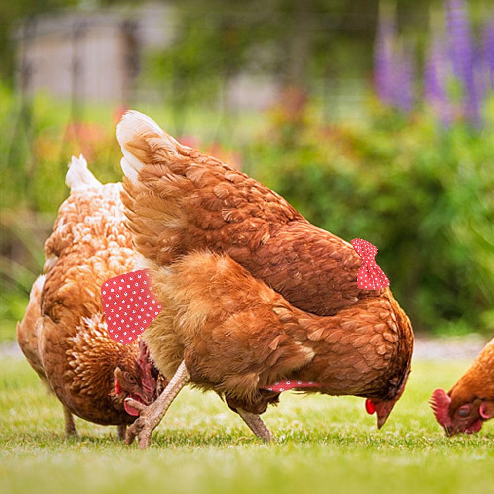 Ente Huhn Windel GeflüGel Baumwolle Wasserdichte Windel Einstellbar Mehrweg Windel Bauernhof Gans Henne Polka Punkt Schmücken Schlauch