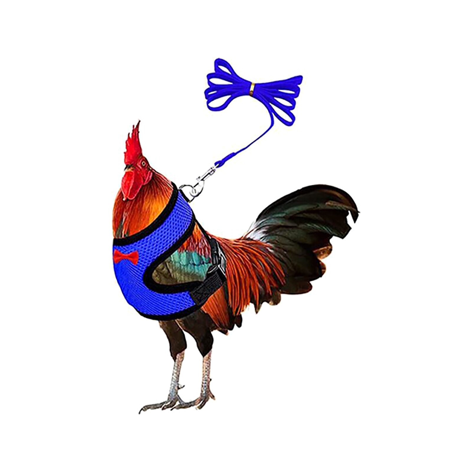 Pettorina per pollo da allenamento per ciotole forniture per pollame cinturino regolabile elastico con guinzaglio a passeggio all'aperto la moda maglia galline gilet per animali domestici: Blu / M