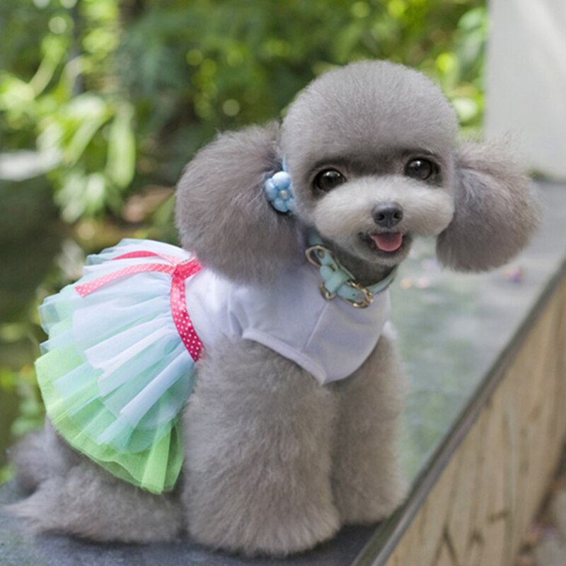 Cute Puppy's Cotton Princess Dress Comfortable Lovely Dog Pets Dress Print Dog Cat Skirt Pink Blue Lace Dress Pet Clothes XS-2XL