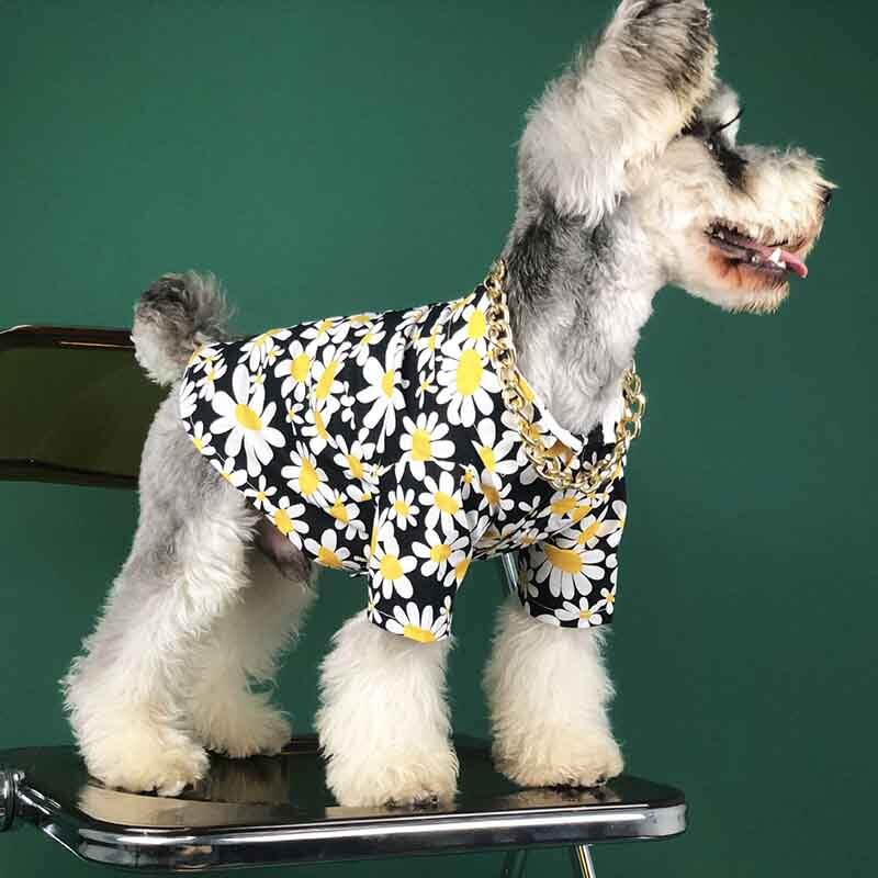 Hundetøj sommer tyndt snit net rød med samme afsnit krysantemum skjorte fransk bulldog bamse schnauzer corgi kæledyr ud