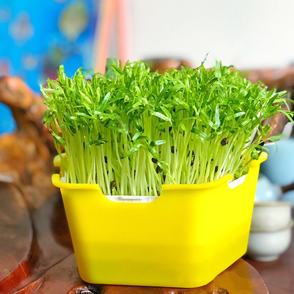 Bandeja para germinación de plantas, caja de plástico portátil a prueba de humedad para plantación de vivero, bandeja de semillas de brotes multifuncional