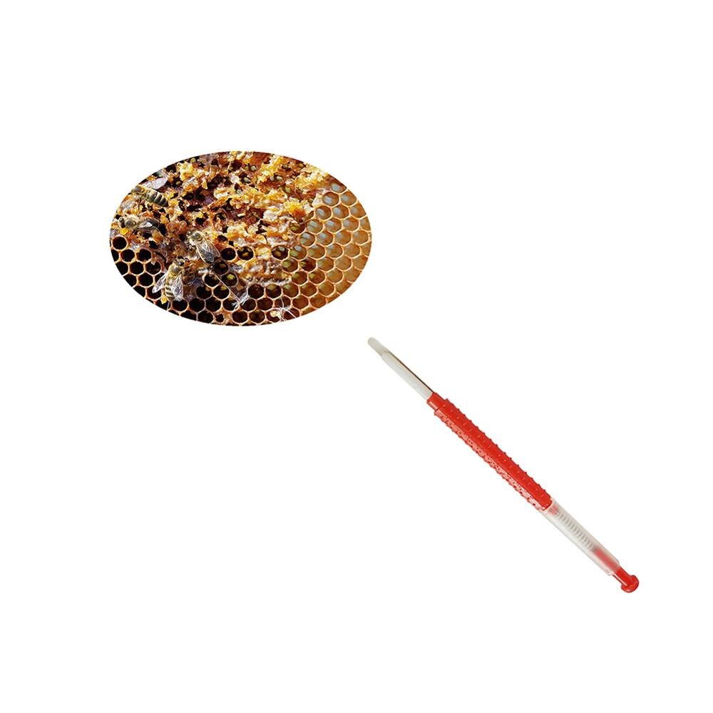 10 sæt biavl flytte orme nål dronning opdræt podning biavl værktøj type tilbagetrækkelig biavlere hornhovedtransplantation