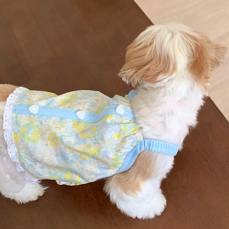 Hond Bretels Vest Dunne Zomer Hondenkleding voor Kleine Honden Leuke Print Puppy Shirt Chihuahua Bichon Pug Poedel Kostuum Geen Hoed: XS / Rood
