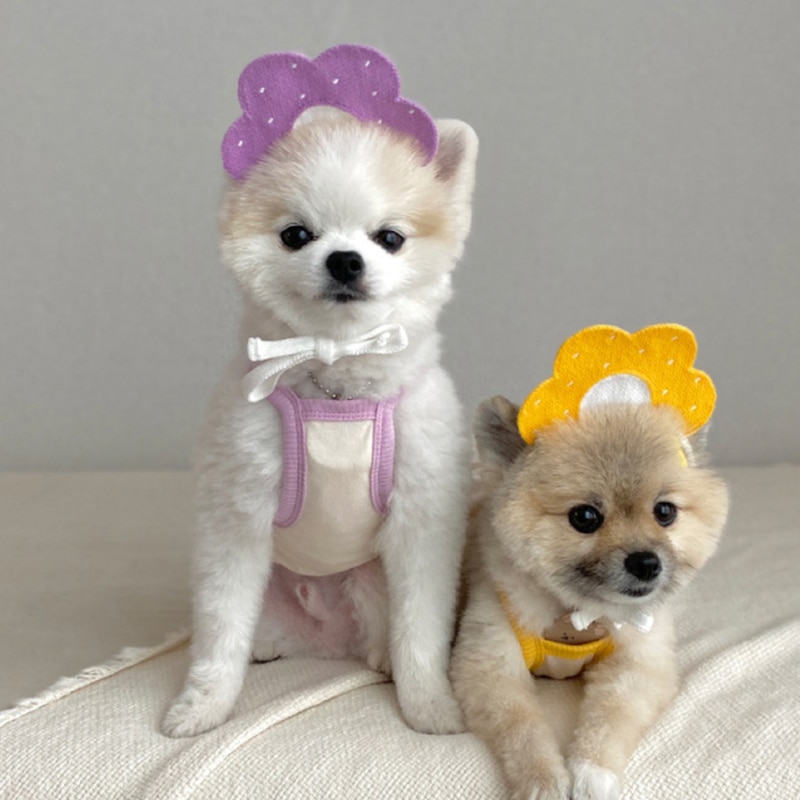 Collar con forma de flor para mascotas, Bandanas Kawaii para perros y gatos, Baberos para mascotas, bufanda, accesorios para cachorros y Husky, pechera de punto para gatos y perros
