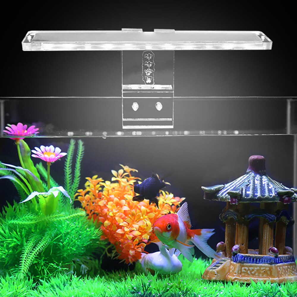 Kleine Aquarium Lamp Led Gras Cilinder Lamp Aquarium Aquarium Beugel Lamp Reptiel Doos Verlichting Energiebesparing