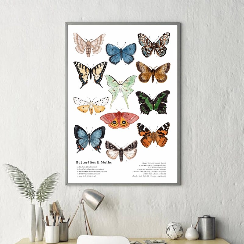 Vlinders En Motten Canvas Art Prints Insect Natuur Muur Foto Educatief Poster Kleuterschool Decor Poster Kraftpapier