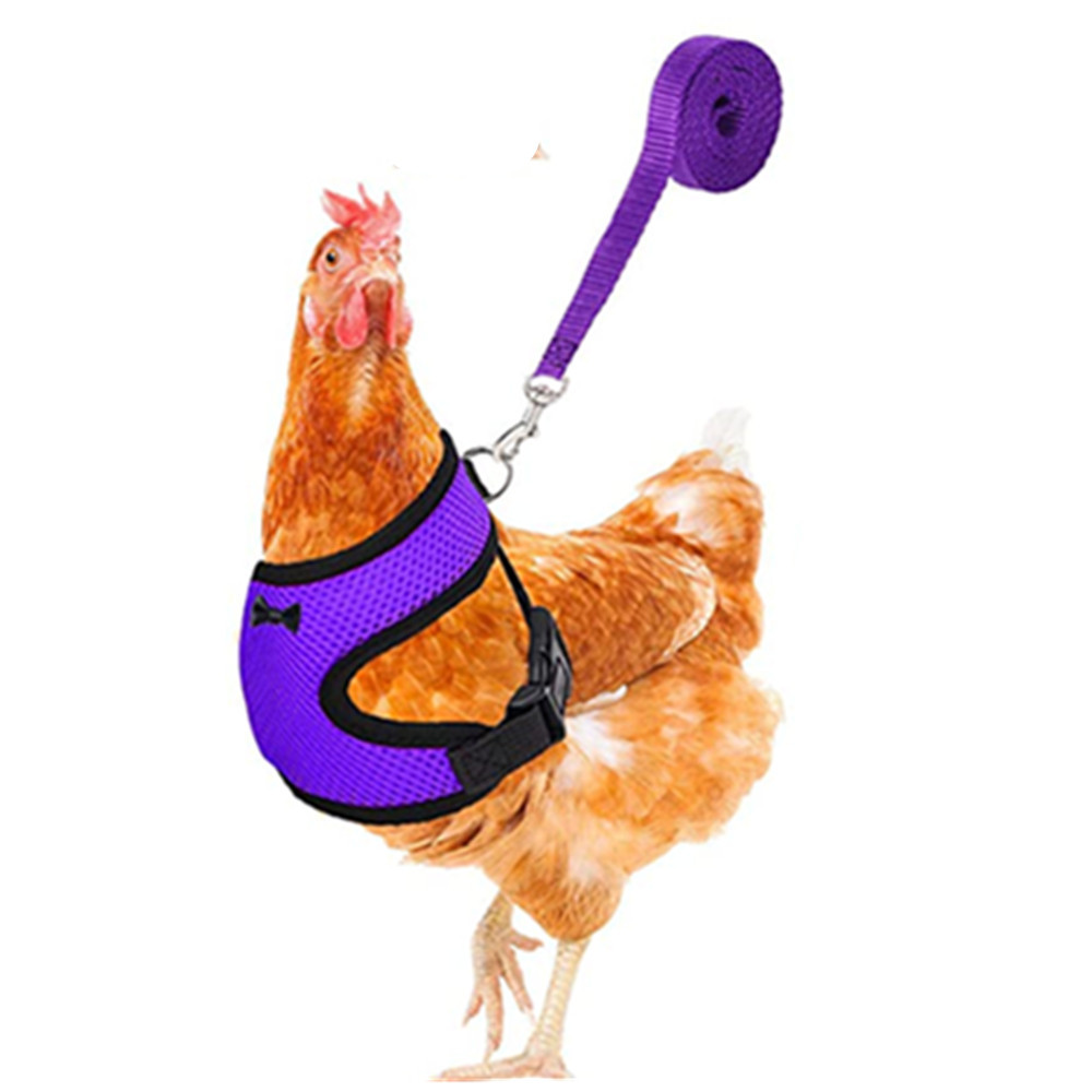 Gilet à la pour poulet et canard, ceinture pour poule, harnais pour animaux de compagnie, colliers assortis avec nœud, laisse confortable, respirant, fournitures pour volaille: XS / Purple