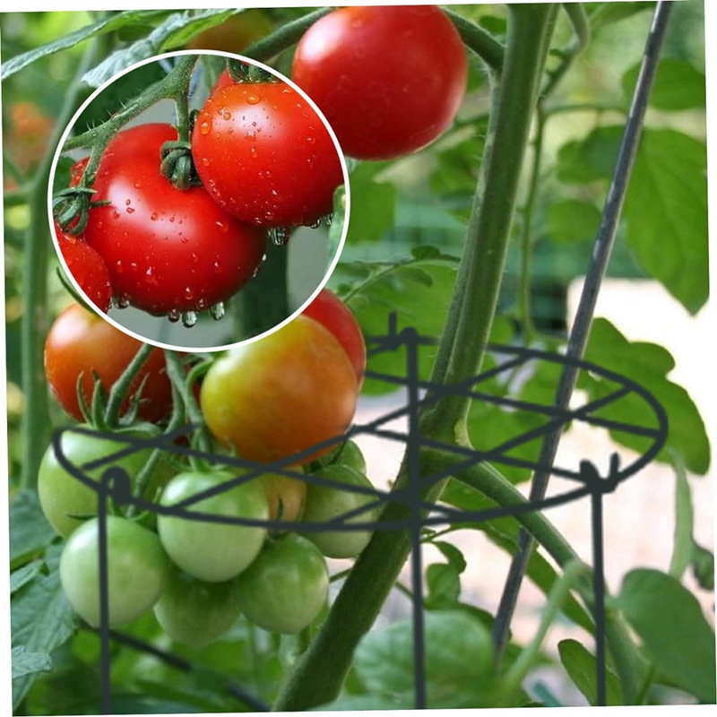 Pfingstrosen ständer, Pfingstrosen stütz käFeige, Pflanzenst änder, der für Rosen, Tomaten, Orchideen geeignet ist
