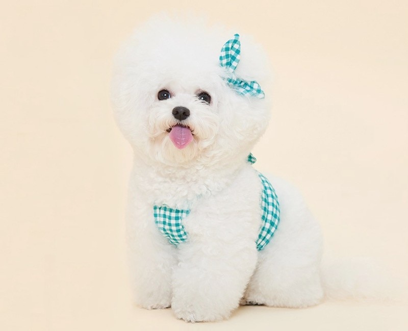 Sommer hundetøj sløjfe plaid blød t-shirt vest til små mellemstore hvalpe yorkshire chihuahua kæledyr udendørs ropa perro ingen pandebånd