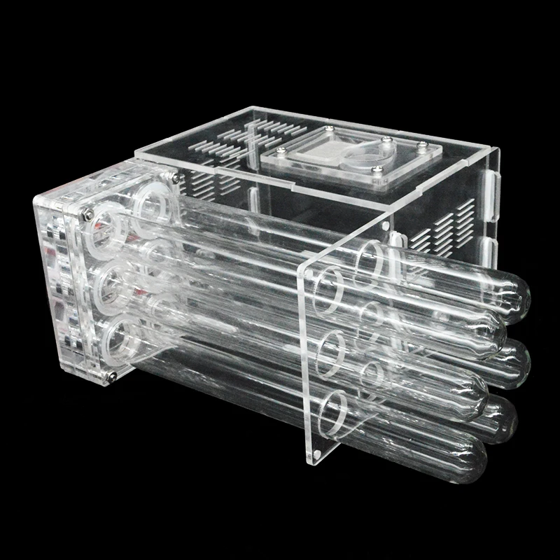 DIY Ants Farm House With Feeding Area Ant Nest Insect Workshop Pet Anthill With 6 Plaster Tubes 15*14.5*8.5cm: green