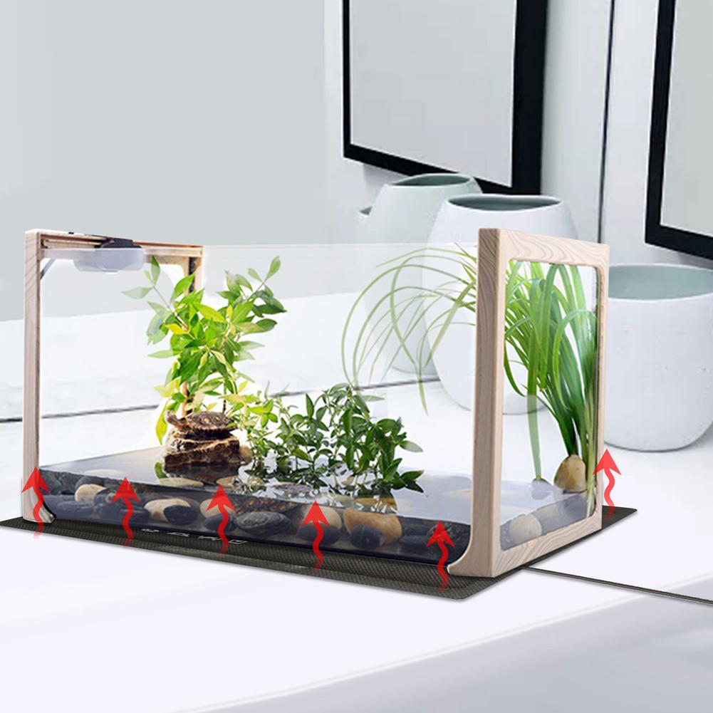 Gallery image with a fresh perspective
