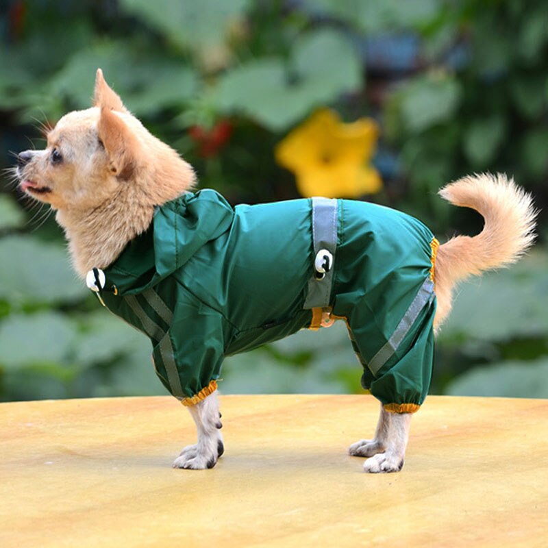 Imperméable chien manteau De pluie imperméable vêtements Chubasquero Perro animal Capa De Chuva Jas Hujan ours en peluche Ropa Regenjas animaux combinaison: Green / XS