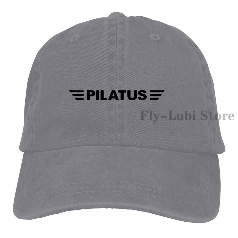 Pilatus-gorra de béisbol de aviación para hombre y mujer, gorro de camionero ajustable a la: 2-Gray