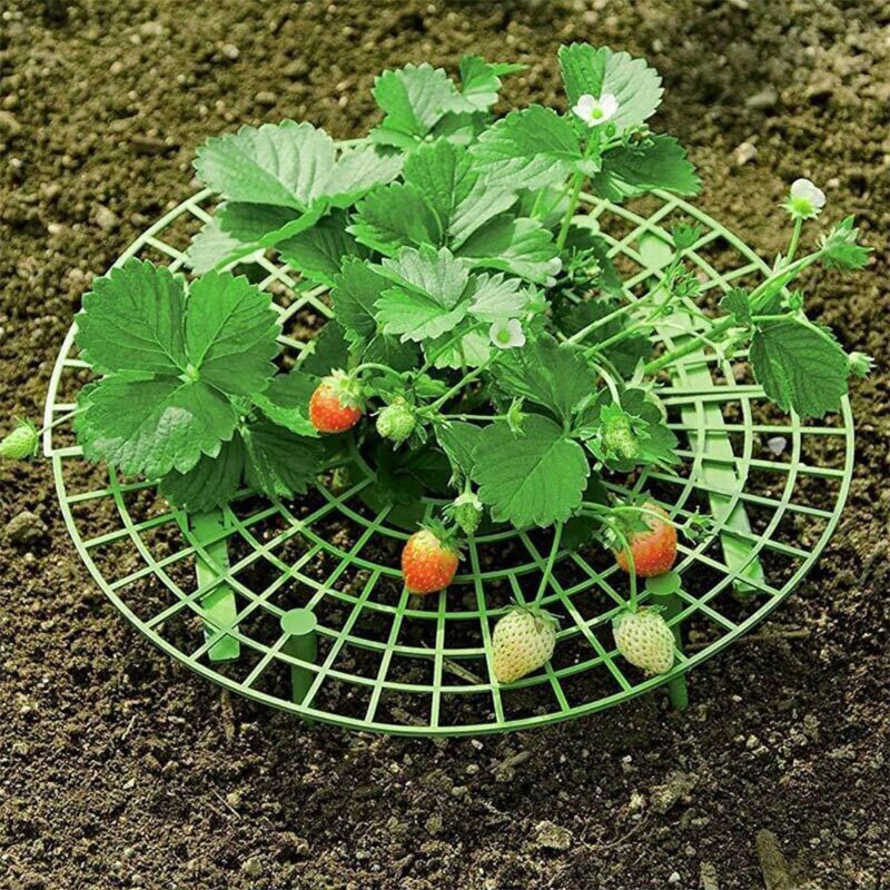 20Pcs Strawberry Stand Planting Frame Fruit Support Planting Rack Plant Flower Climbing Vine Pillar Plant Support Garden Stand