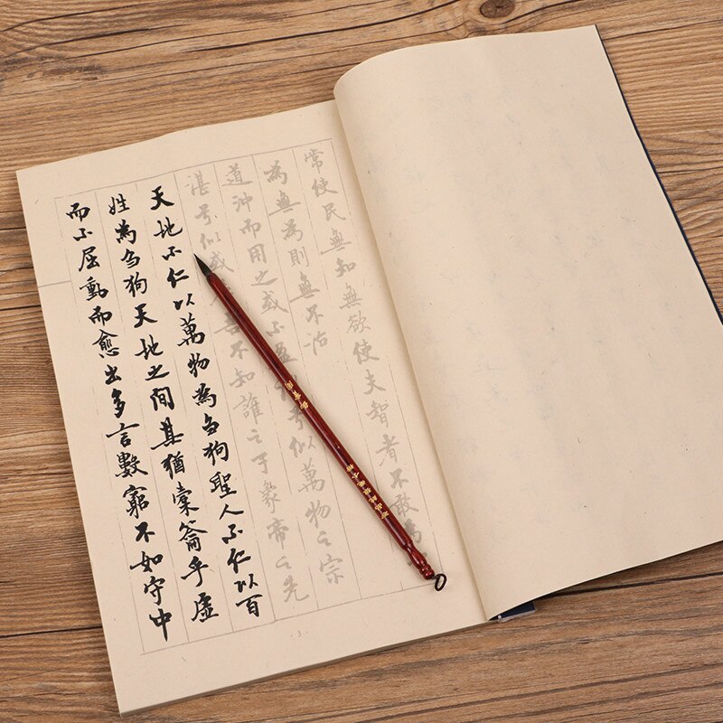 Brush Calligraphy Books Small Regular Script Calligraphie Copybook Adult Tao Te Ching Calligraphy Practice Xuan Paper Books: Default Title