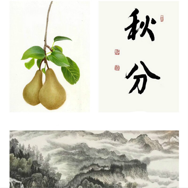 26 pièces pinceau de calligraphie pour peinture chinoise Caligrafia crochet ligne stylo chinois paysage fleurs dessin calligraphie pinceau stylo ensemble