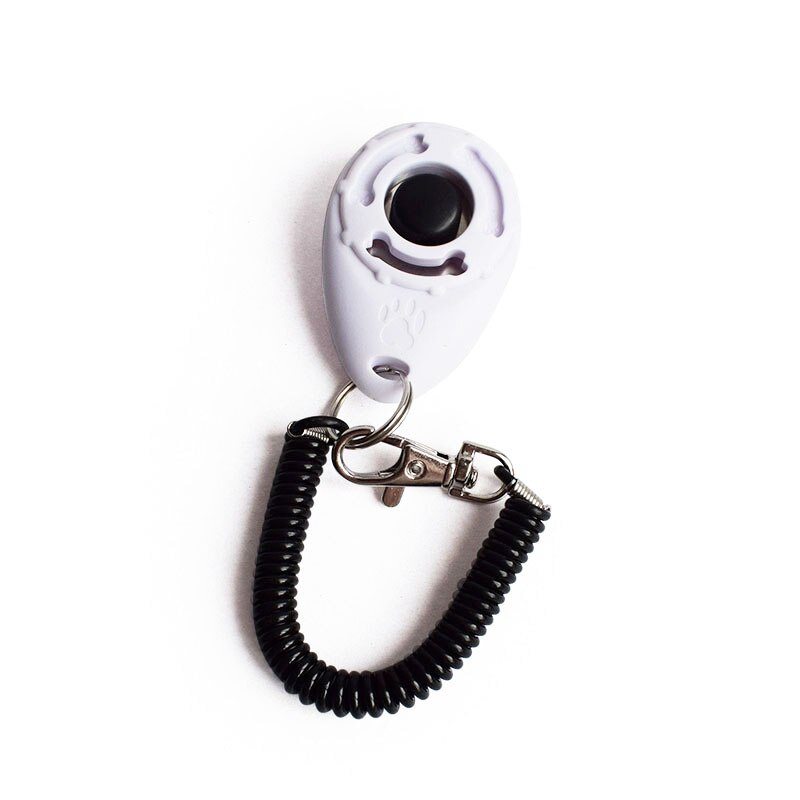 Portabrocas De 13mm Con Llave Y Adaptador 1/2 – Mandril Metálico