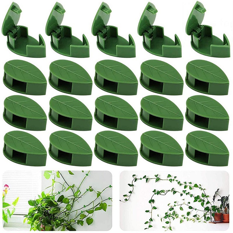 Clips de fijación de pared para plantas trepadoras, pegatina acrílica, gancho autoadhesivo, soporte de tracción para plantas y vid, decoraciones para interiores y exteriores, 20 piezas