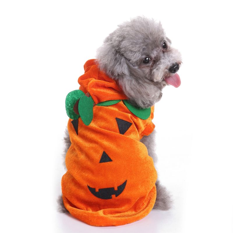 Ropa De Calabaza Para Mascotas: El Disfraz Más Gracioso Para Halloween Para Perros Y Gatos