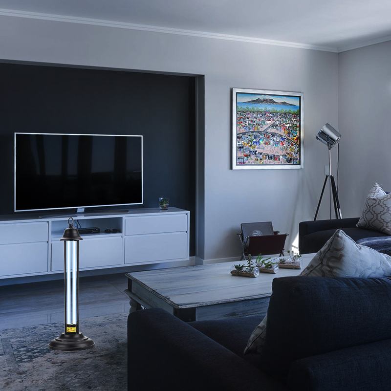 UV Germicidal Lamp With Remote Control Timer Home Shoes Box UVC Lamp Indoor UVC Wand Kitchen UV Light 38W 220V Ultraviolet Lamps