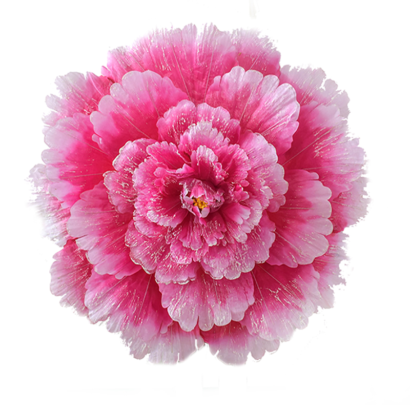 Peony Umbrella Large Dance evening Handflower props Stage performance Games Opening Ceremony Dance props large peonies The Kid: L / Rose Red