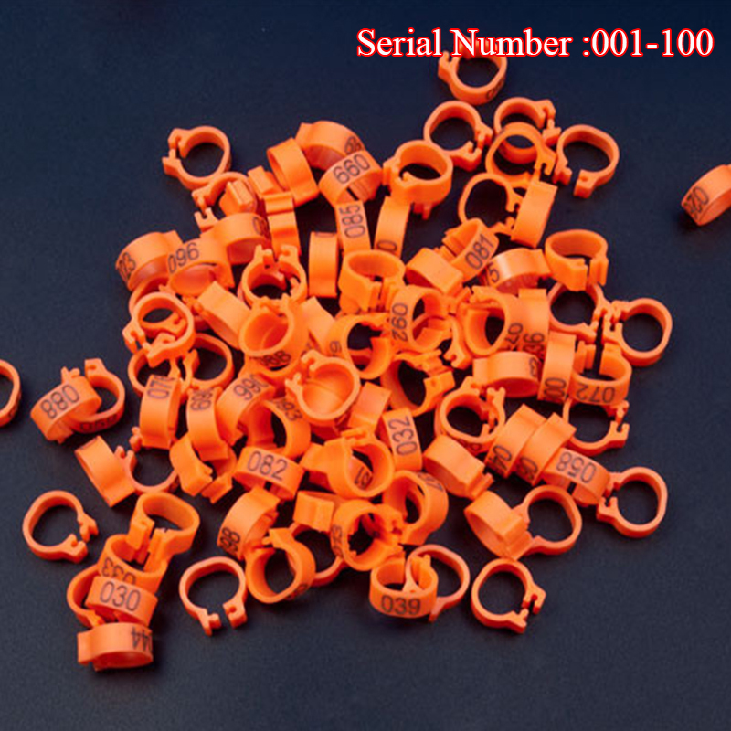 Inner Diameter 8mm Pigeon Leg Bands Poultry Dove Bird Parrot Clip Rings Band Foot Ring Pigeon Supplies Bird Appliances 100 Pcs: Orange