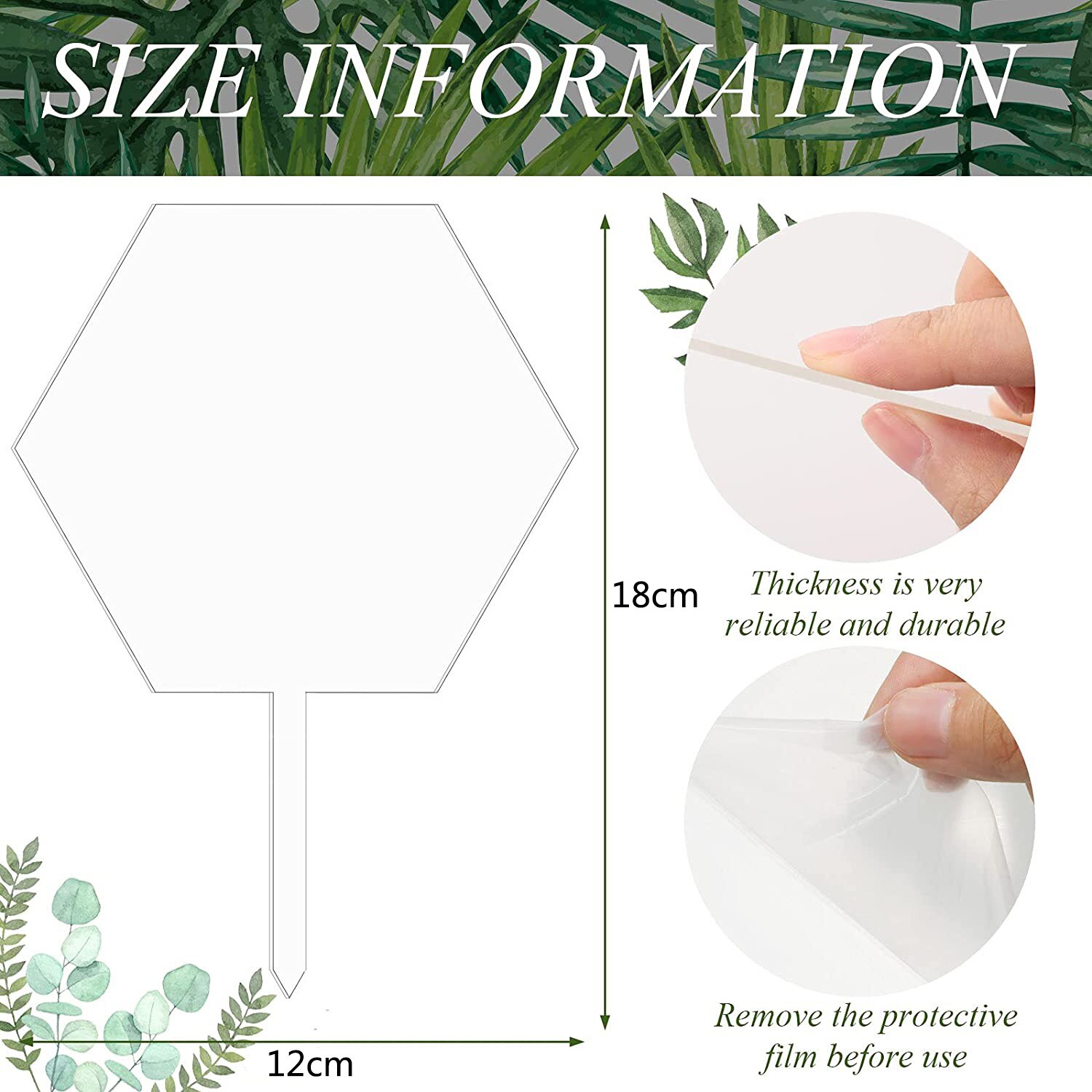 10 Pcs Hexagon Acryl Cake Toppers Clear Blank Circ... – Grandado