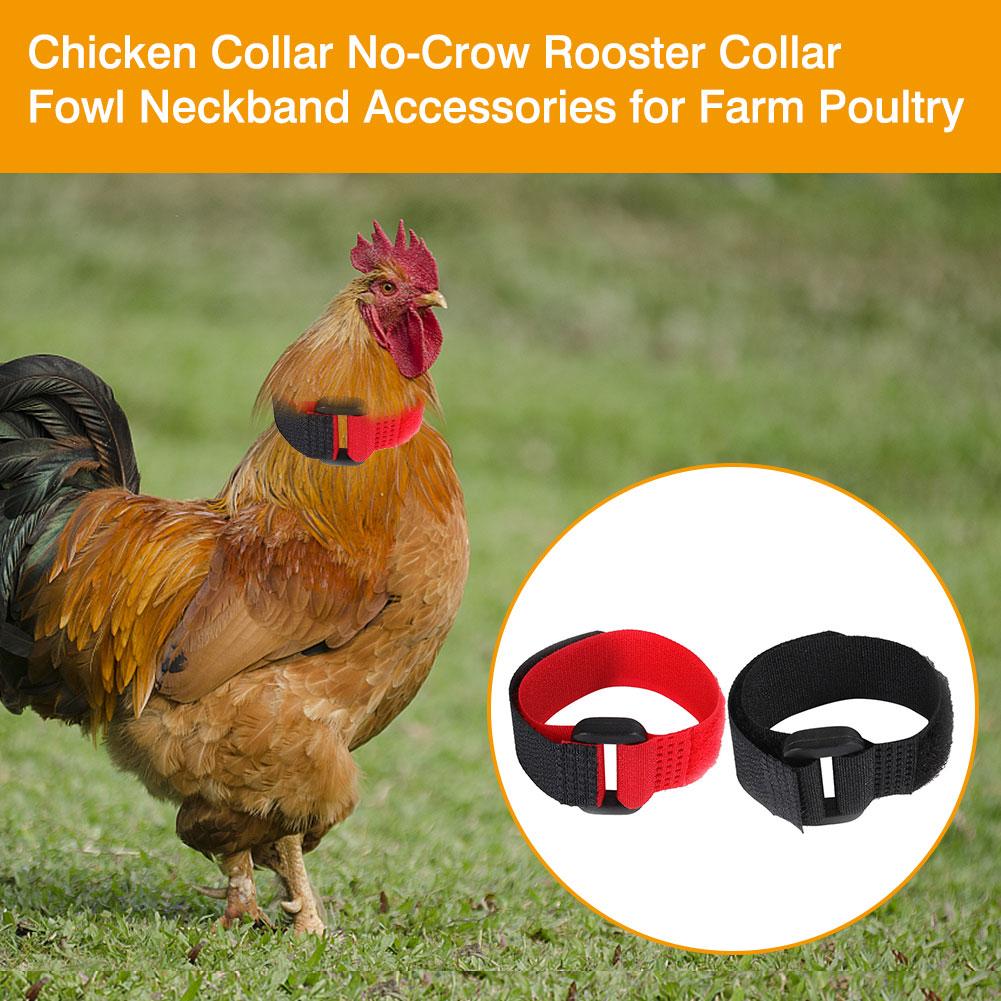 2 unids/lote correa para cuello de mascotas, Collar para Gallo, suministros de gallo, accesorios de banda para el cuello para aves de corral