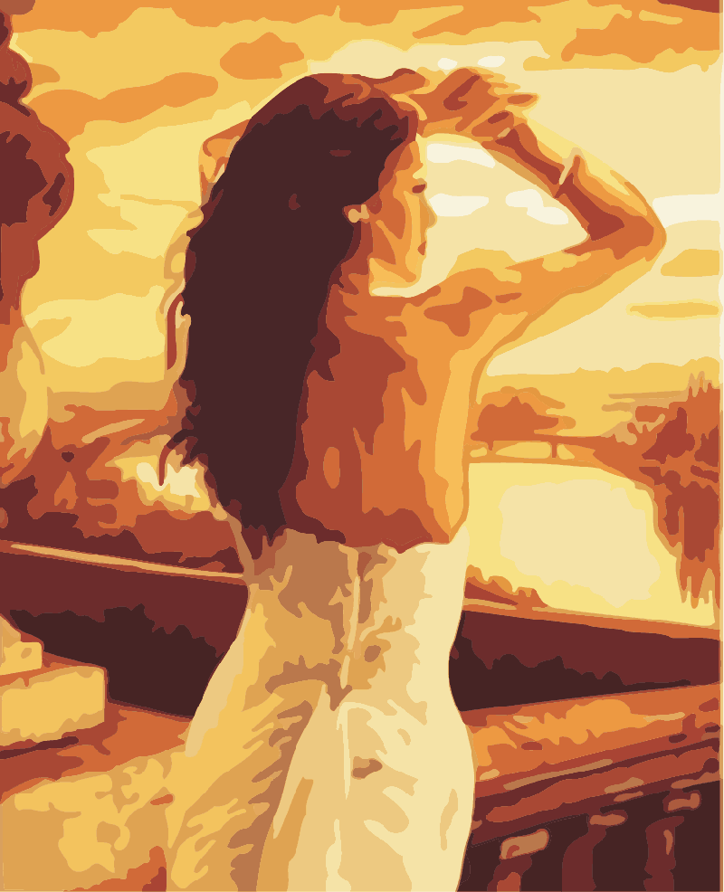 DIY Painting By Numbers Adults Portrait Full Kits Oil Paint By Numbers Art Figure Drawing 50x40cm Home Decor: 6510